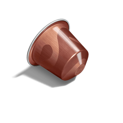 Café Barista Creations Nocciola x 10 Cápsulas Original Nespresso