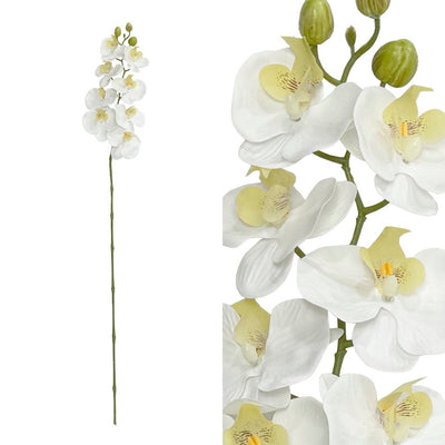 ORQUIDEA 8 FLORES H96CM ORQUIDEA 8 FLORES H96CM