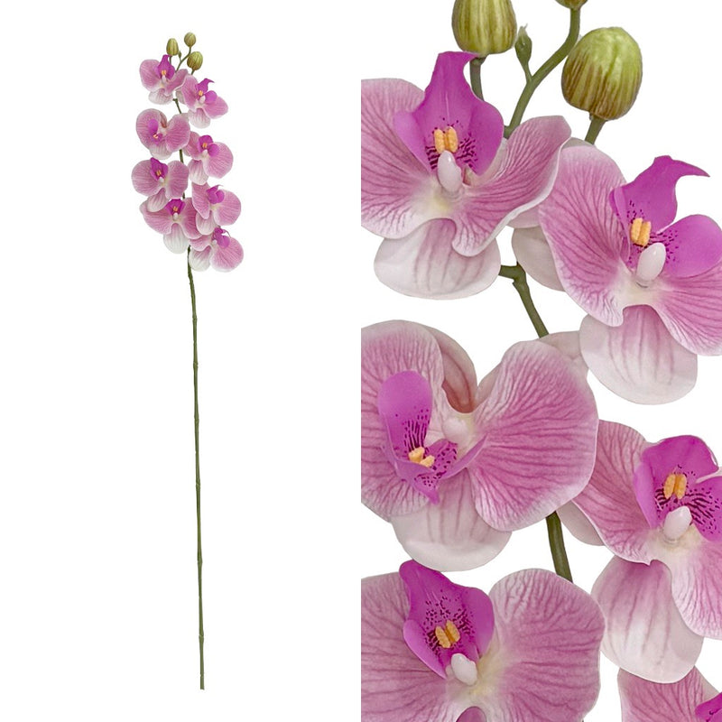 ORQUIDEA 8 FLORES H96CM ORQUIDEA 8 FLORES H96CM