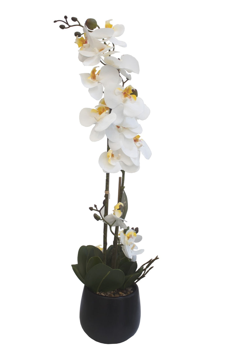 ARREGLO FLORAL ORQUIDEAS 4 TALLOS 17 FLORES ARREGLO FLORAL ORQUIDEAS 4 TALLOS 17 FLORES