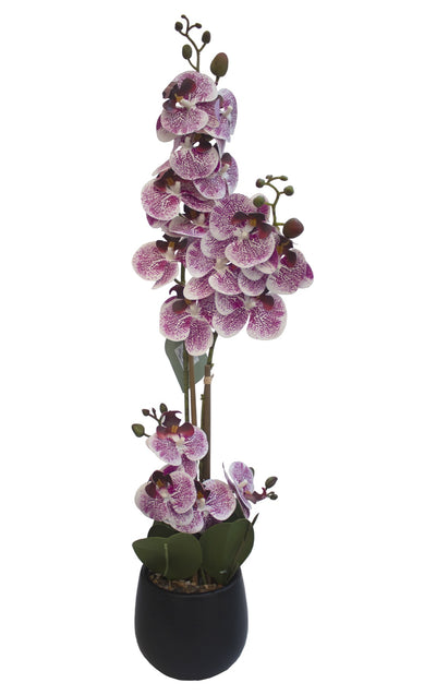 ARREGLO FLORAL ORQUIDEAS 4 TALLOS 17 FLORES ARREGLO FLORAL ORQUIDEAS 4 TALLOS 17 FLORES