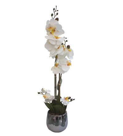 ARREGLO FLORAL ORQUIDEAS 4 TALLOS 17 FLORES ARREGLO FLORAL ORQUIDEAS 4 TALLOS 17 FLORES