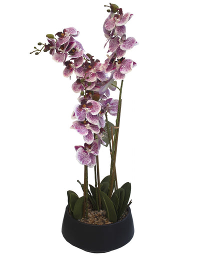 ARREGLO FLORAL ORQUIDEAS 4 TALLOS 25 FLORES ARREGLO FLORAL ORQUIDEAS 4 TALLOS 25 FLORES