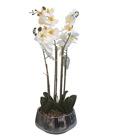 ARREGLO FLORAL ORQUIDEAS 4 TALLOS 25 FLORES ARREGLO FLORAL ORQUIDEAS 4 TALLOS 25 FLORES