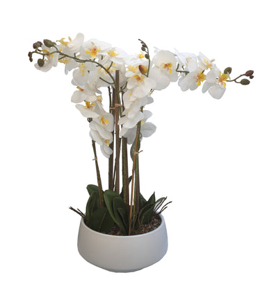 ARREGLO FLORAL ORQUIDEAS 8 TALLOS 60 FLORES ARREGLO FLORAL ORQUIDEAS 8 TALLOS 60 FLORES