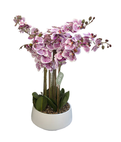 ARREGLO FLORAL ORQUIDEAS 8 TALLOS 60 FLORES ARREGLO FLORAL ORQUIDEAS 8 TALLOS 60 FLORES