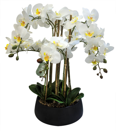 ARREGLO FLORAL ORQUIDEAS 8 TALLOS 60 FLORES ARREGLO FLORAL ORQUIDEAS 8 TALLOS 60 FLORES