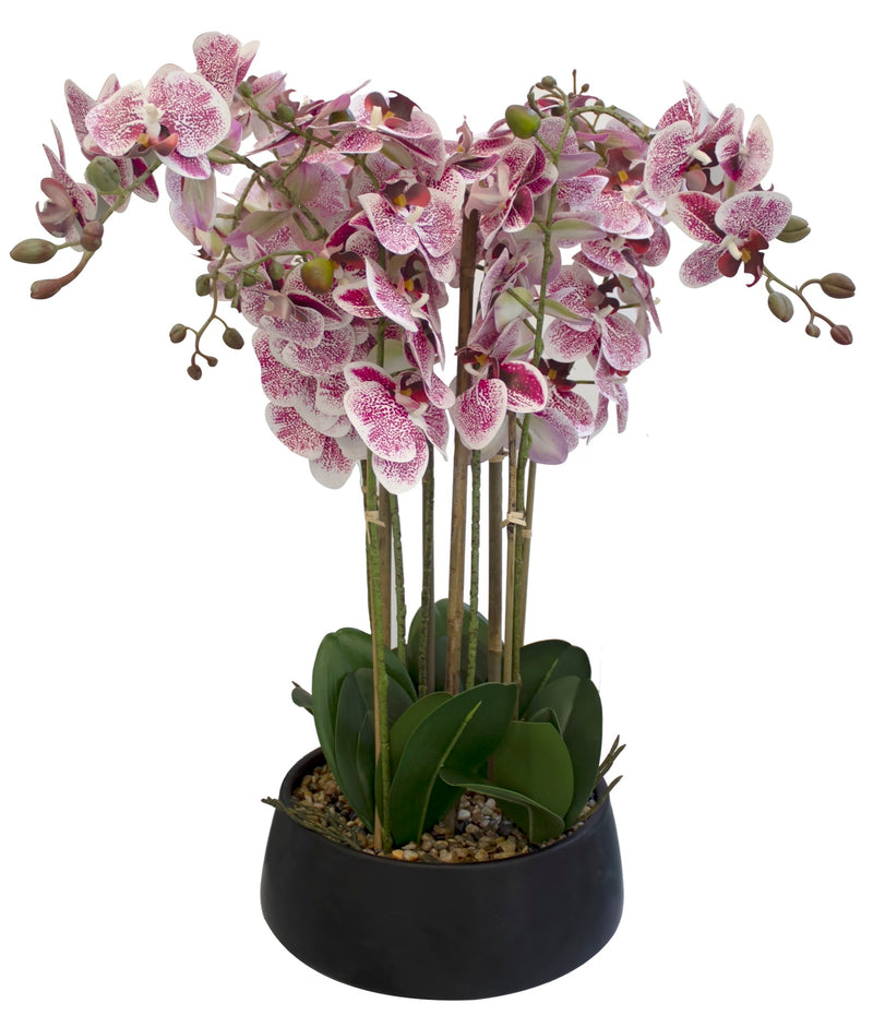 ARREGLO FLORAL ORQUIDEAS 8 TALLOS 60 FLORES ARREGLO FLORAL ORQUIDEAS 8 TALLOS 60 FLORES