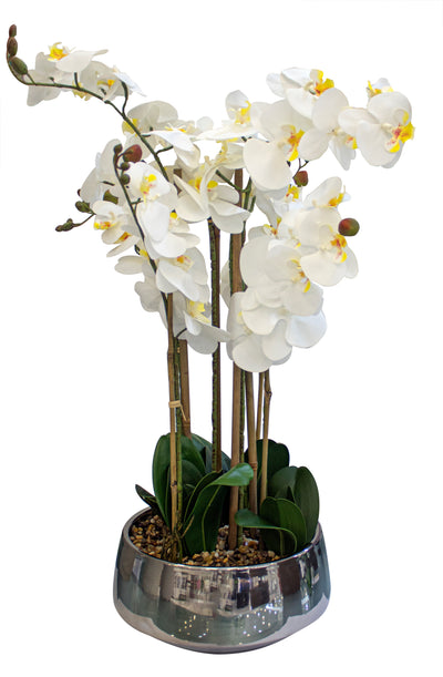 ARREGLO FLORAL ORQUIDEAS 8 TALLOS 60 FLORES ARREGLO FLORAL ORQUIDEAS 8 TALLOS 60 FLORES