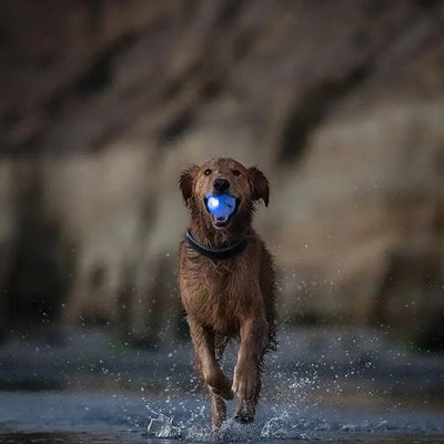 PELOTA PARA JUEGOS LATEX GRANDE - AZUL