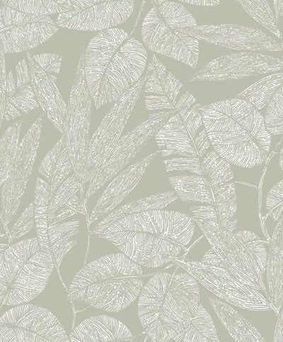 ROLLO DE PAPEL DECORATIVO  L10.05M x W0.53M