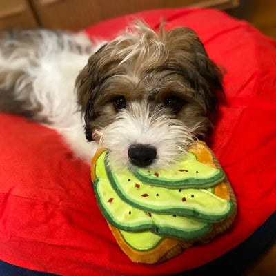 TOSTADA JUGUETE DE PERRO - VERDE