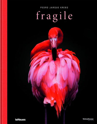 FRAGILE FRAGILE