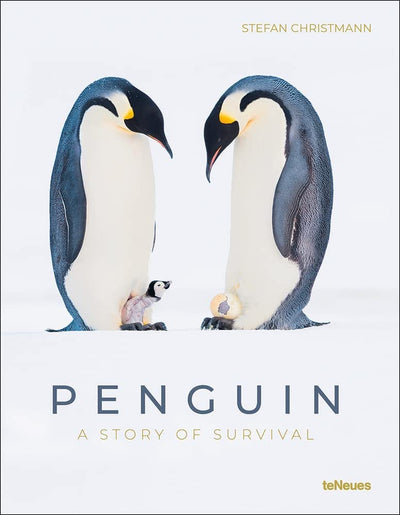 PENGUIN A STORY OF SURVIVAL PENGUIN A STORY OF SURVIVAL