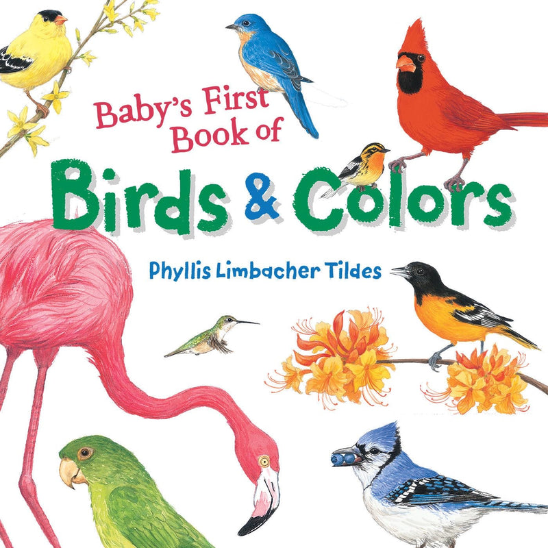 PRIMER LIBRO DE PAJAROS Y COLORES DEL BEBE PRIMER LIBRO DE PAJAROS Y COLORES DEL BEBE