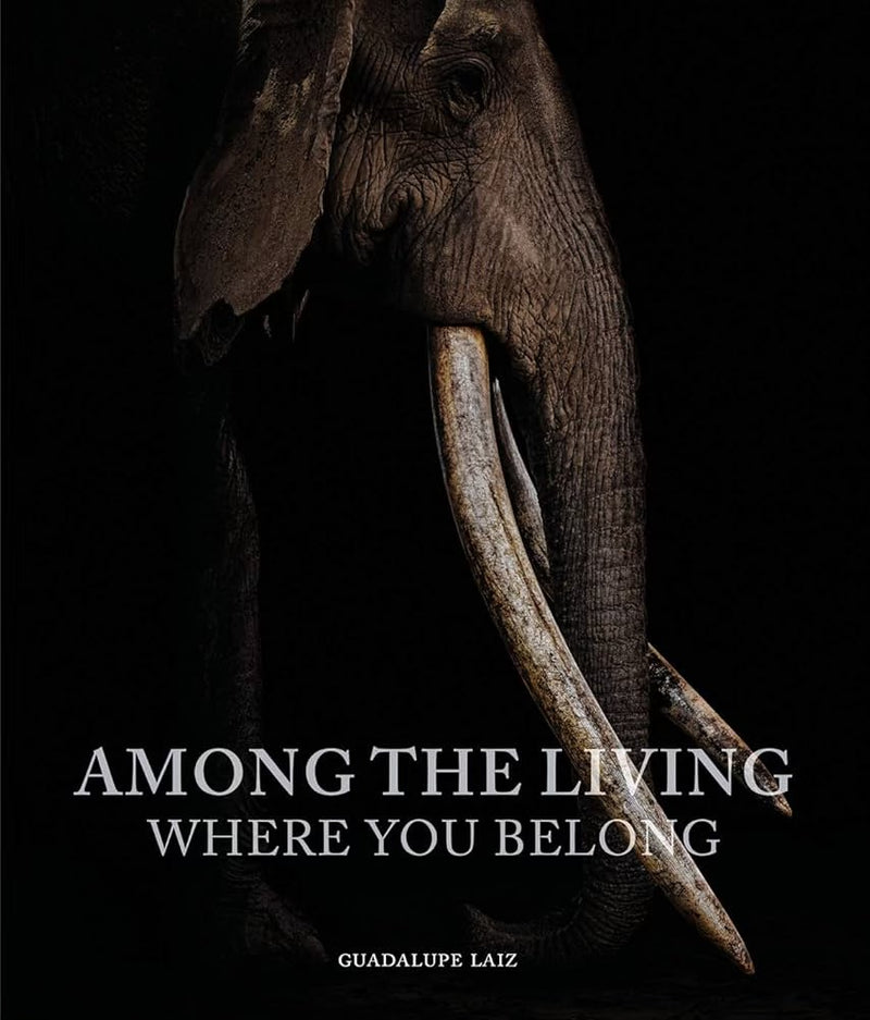 LIBRO AMONG THE LIVING: WHERE YOU BELONG LIBRO AMONG THE LIVING: WHERE YOU BELONG