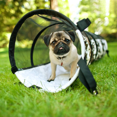 TUNEL PARA MASCOTAS PEQUEÑO - NEGRO