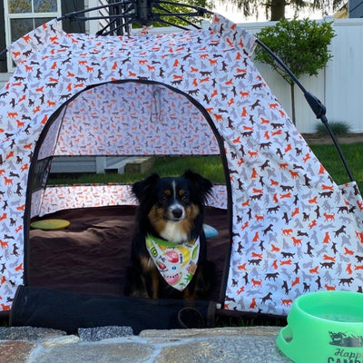 TIENDA PARA PERROS AL AIRE LIBRE S - BLANCO