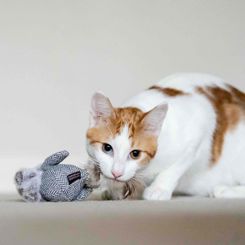 PAJARITO JUGUETE PARA GATO - GRIS