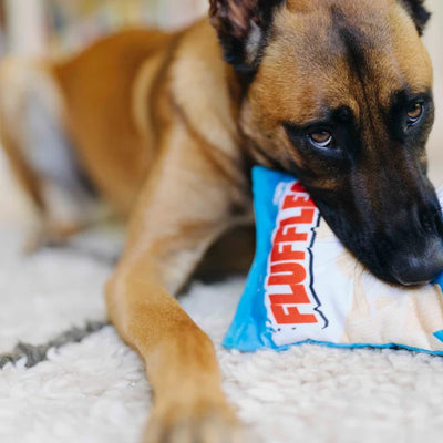 PAPAS JUGUETE DE PERRO - AZUL