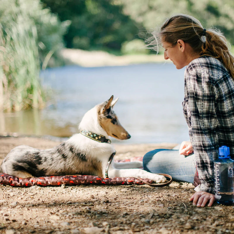 CAMA IMPERMEABLE MOVIL PARA MASCOTAS M - MARRÓN