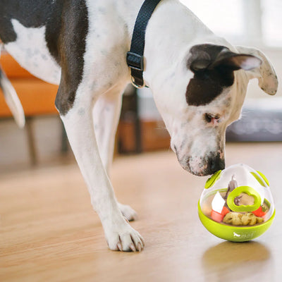 PELOTA JUGUETE DE PERRO - VERDE