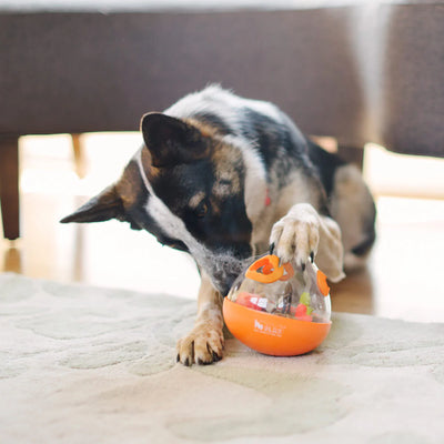 PELOTA JUGUETE DE PERRO - NARANJA