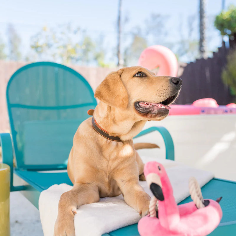 FLOTADOR DE FLAMENCO JUGUETE DE PERRO-ROSADO