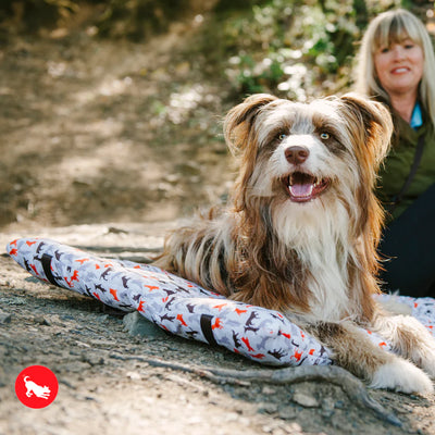 CAMA IMPERMEABLE MOVIL PARA MASCOTAS M - BLANCO