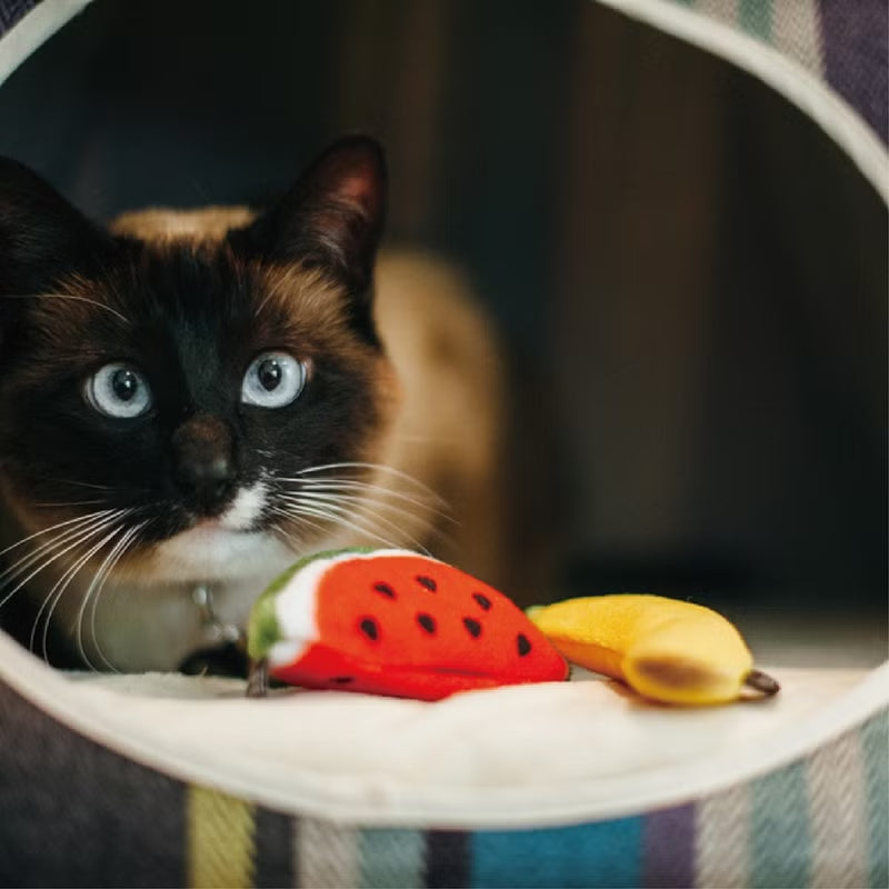 BANANA, SANDIA JUGUETE PARA GATO - AMARILLO/ROJO