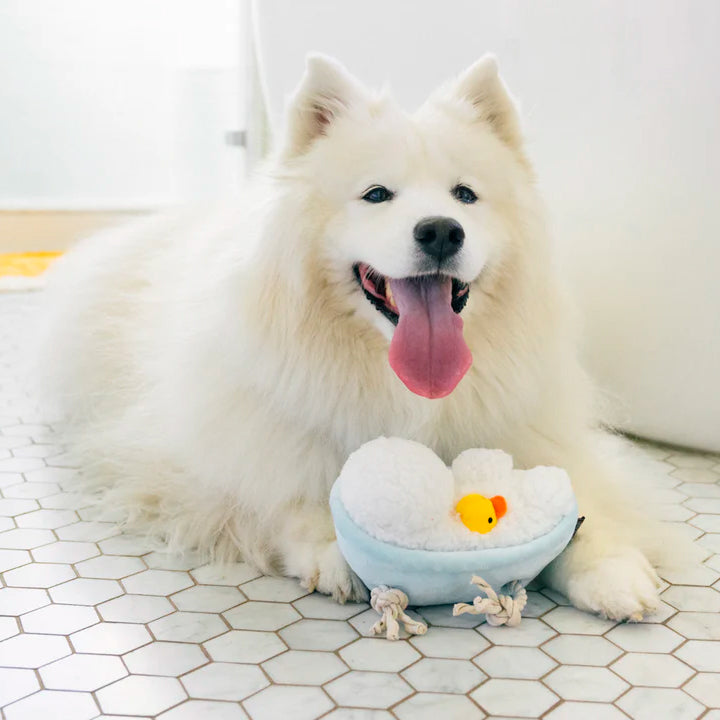 PLAY PELUCHE PARA MASCOTAS SPLISH SPLASH - CHICO PULL-A-DUB