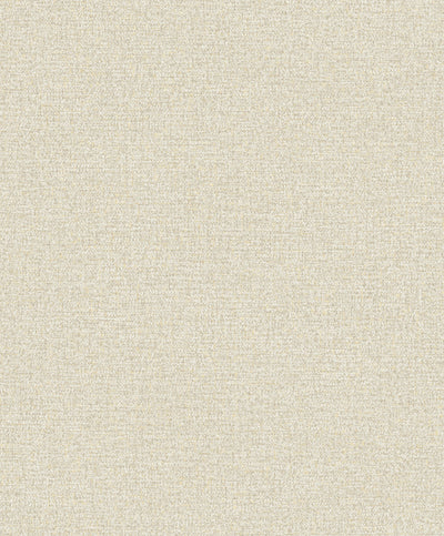 ROLLO DE PAPEL DECORATIVO L10.05 x W0.53M