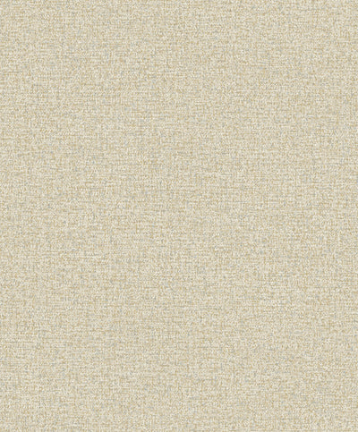 ROLLO DE PAPEL DECORATIVO L10.05 x W0.53M