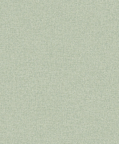 ROLLO DE PAPEL DECORATIVO L10.05 x W0.53M