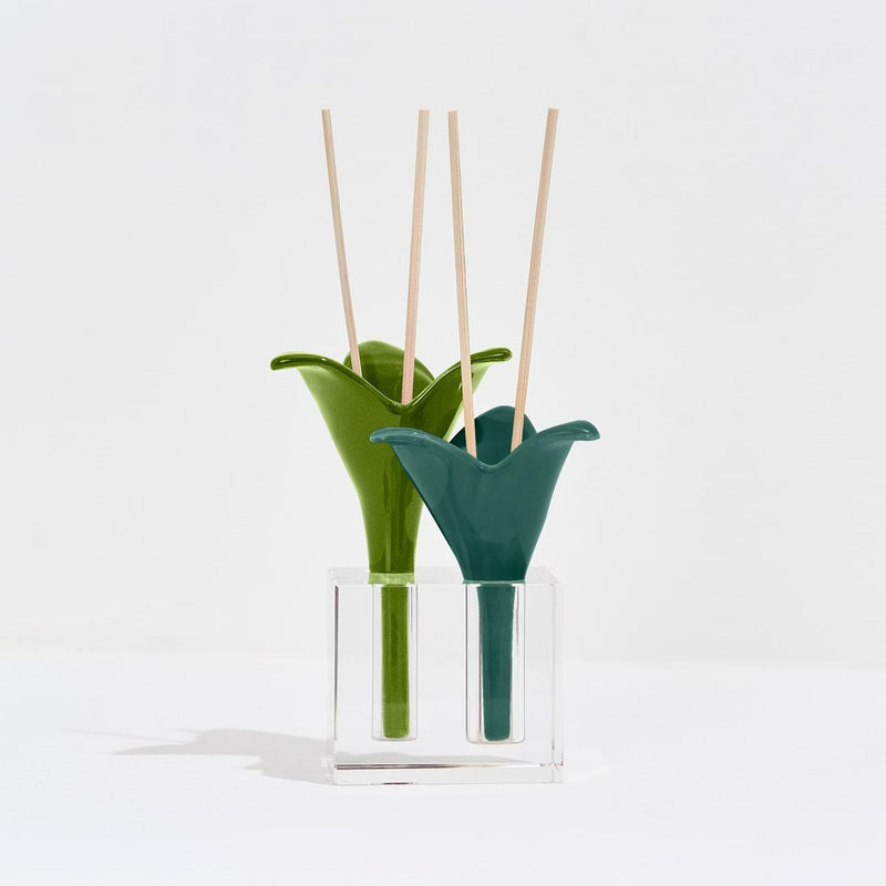 DIFUSOR 2 FIORI DI CAPRI VERDE-MENTA BASILICO