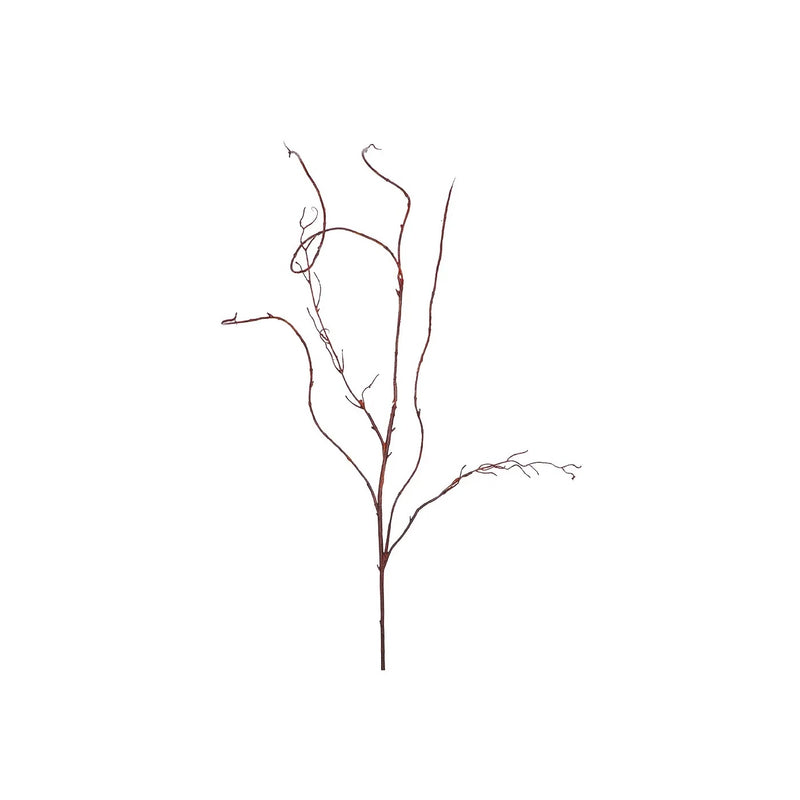 SAUCE RIZADO, 122 cm, MARRÓN