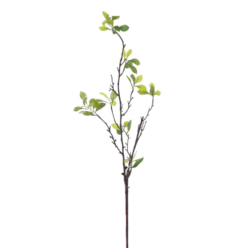 HOJA SPRING SMILAX 37" VERDE