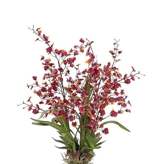 ORQUÍDEA BAILARINA ONCIDIUM  BU 40"