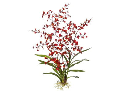 ORQUÍDEA BAILARINA ONCIDIUM  BKRD 40" ORQUÍDEA BAILARINA ONCIDIUM  BKRD 40"