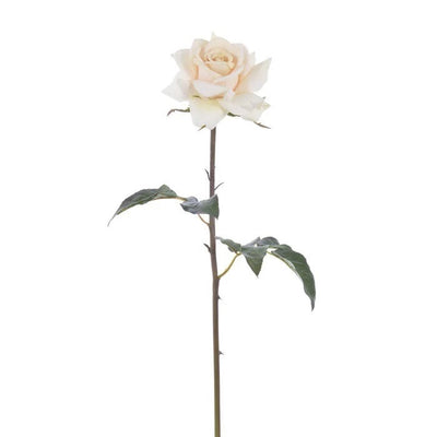 ROSA WESTMINSTER CORTA BLANCA 20.5"