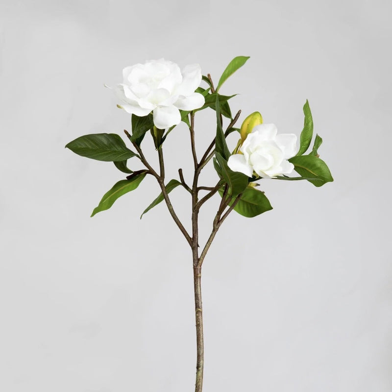 GARDENIA JUBILATION 26"