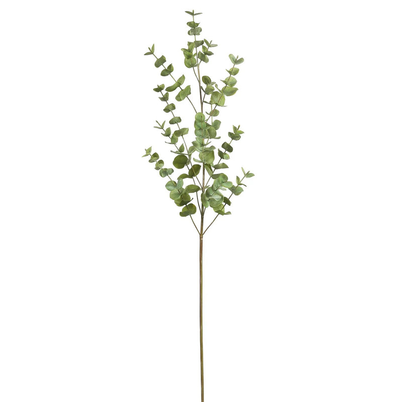 EUCALIPTO L 40" VERDE