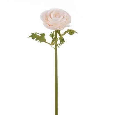 RANUNCULUS BEIGE 22" RANUNCULUS BEIGE 22"