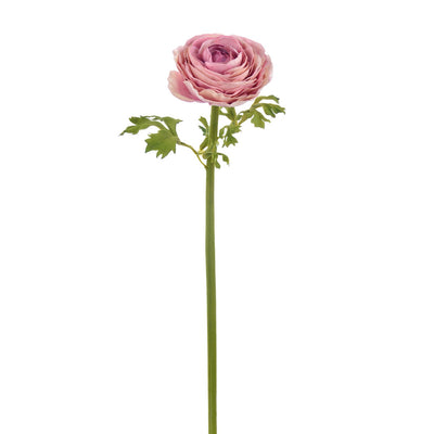 RANUNCULUS 22" (LAVANDA PROFUNDA) RANUNCULUS 22" (LAVANDA PROFUNDA)