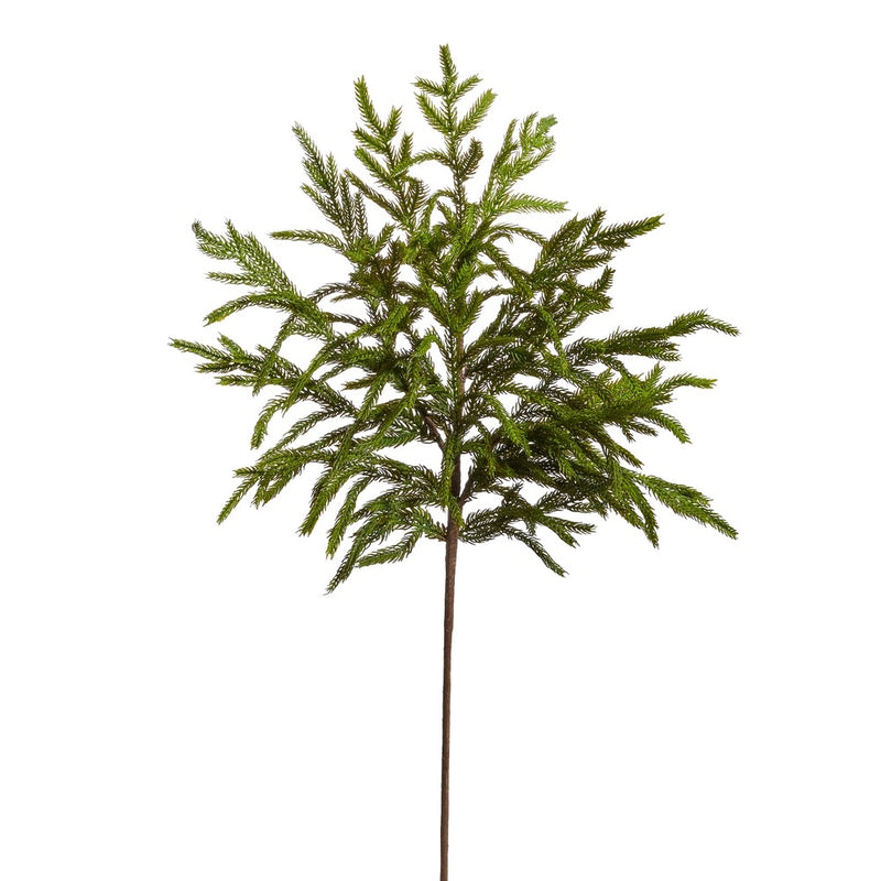 RAMA DE PINO NORFOLK 33"