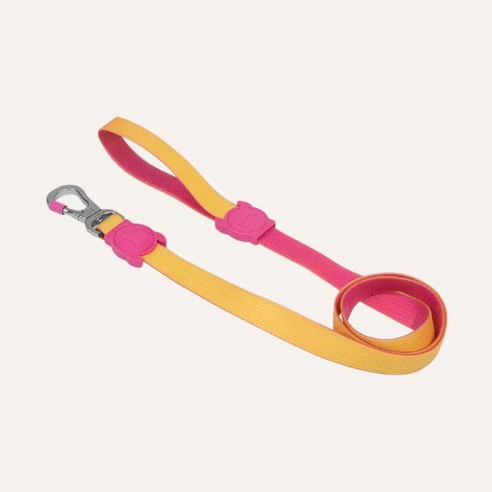 ZEE DOG NEOPRO LYRA | LEASH - LARGE ZEE DOG NEOPRO LYRA | LEASH - LARGE