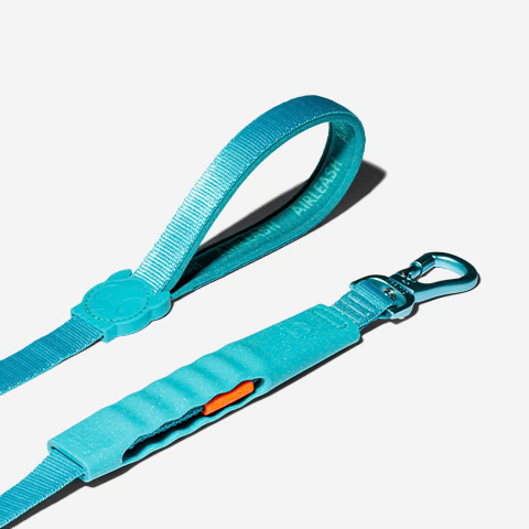 ZEE DOG BLUE | AIRLEASH - 5. FT.