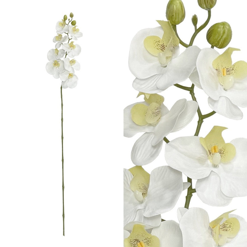 ORQUIDEA 8 FLORES H96CM