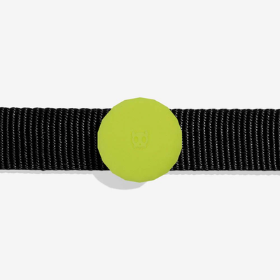 ZEE DOG LIME | AIRTAG HOLDER