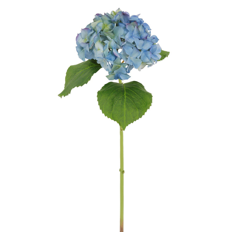 HORTENSIA 23.5" (AZUL)